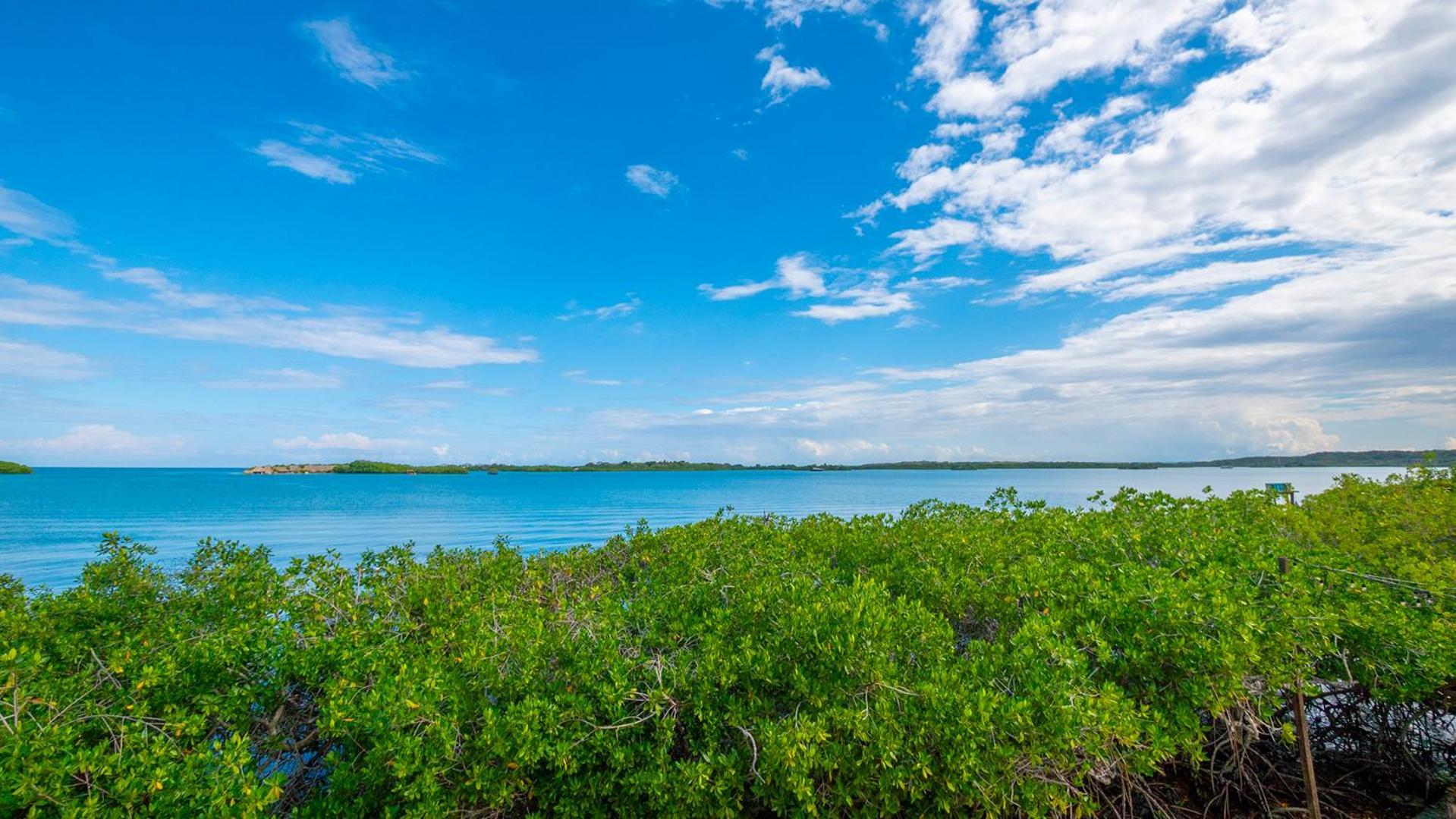 Aura Hotel Isla Barú Eksteriør bilde